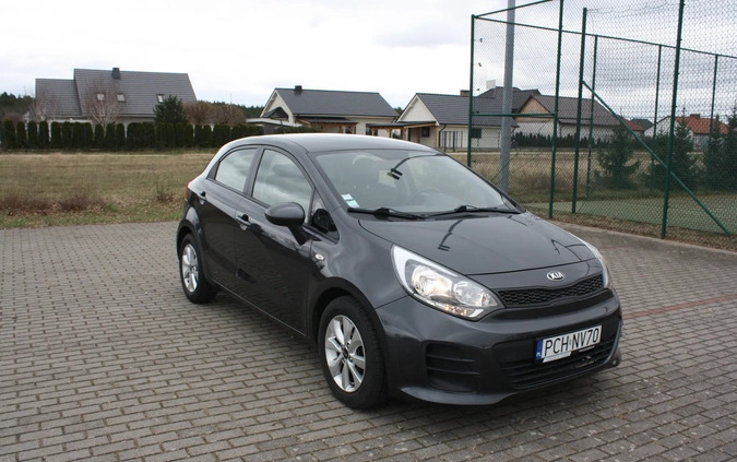 Kia Rio cena 35900 przebieg: 50765, rok produkcji 2016 z Węgliniec małe 106